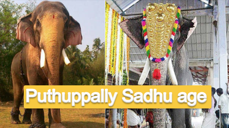 Puthuppally Sadhu age